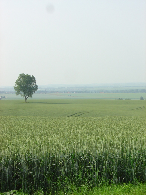 DSC05507